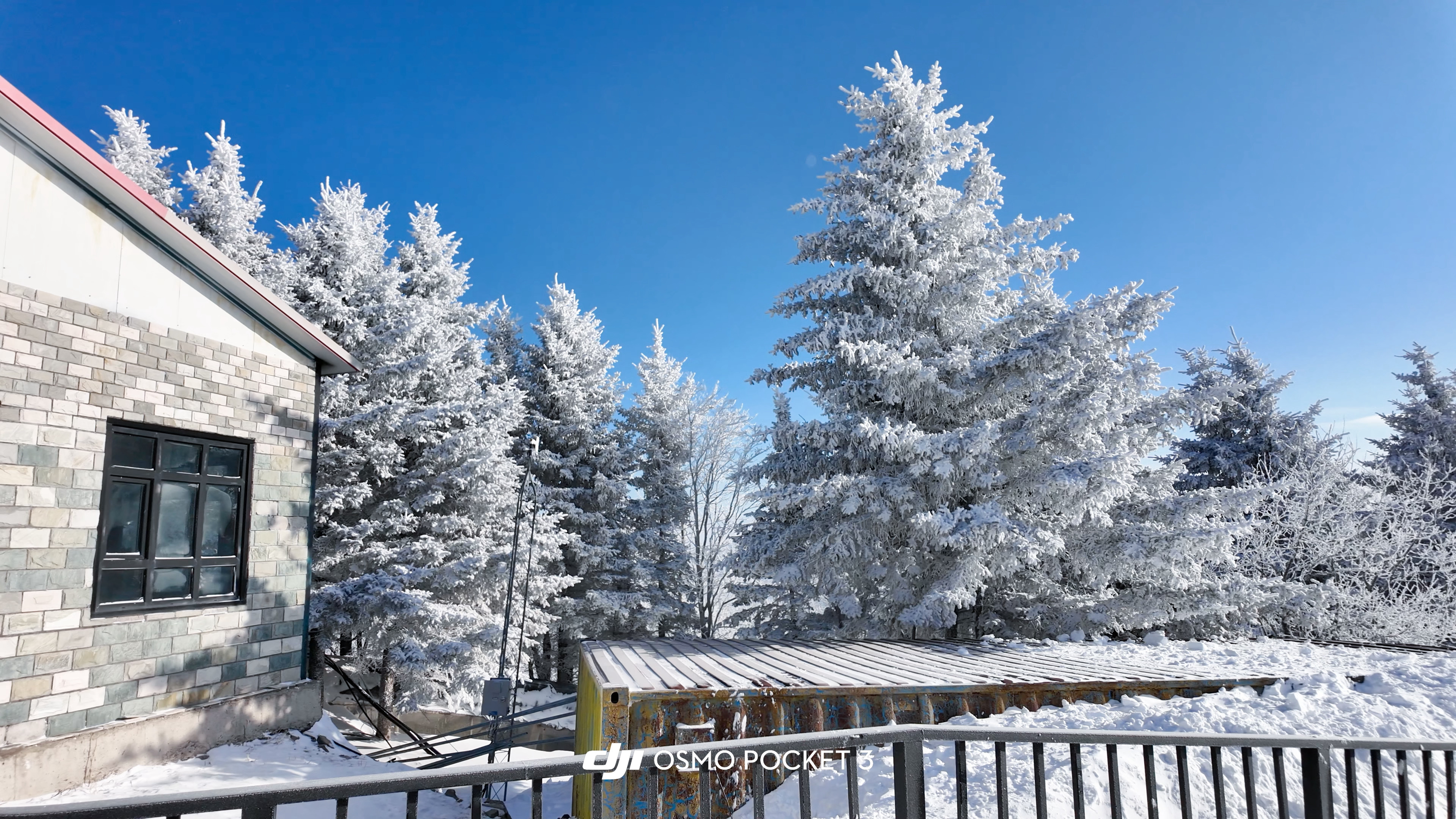 2025最美的风景都在路上🩵🎿❄️🐻❄️  