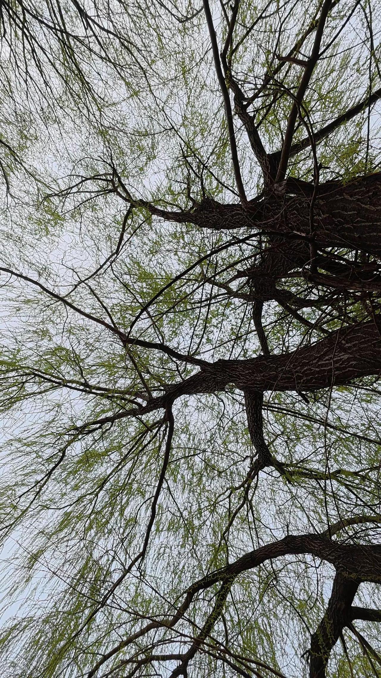 随拍 图文热点来了 登上山顶看美景 随手一拍都是美景大自然的美无处不在