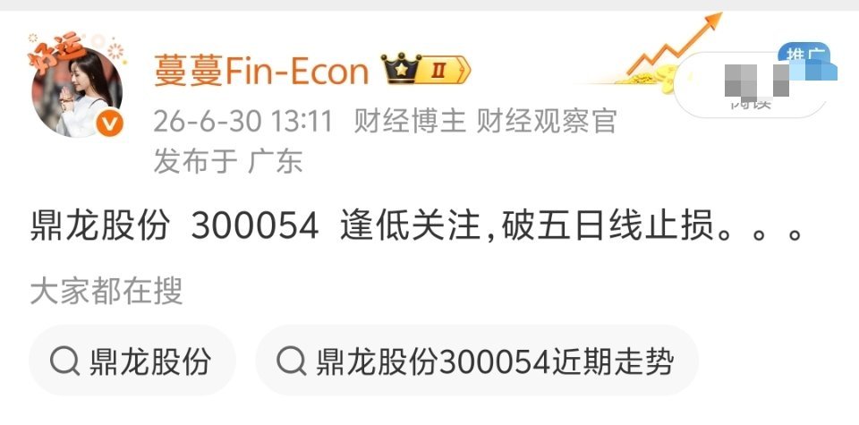 鼎龙股份  300054  下车了，小肉。。 