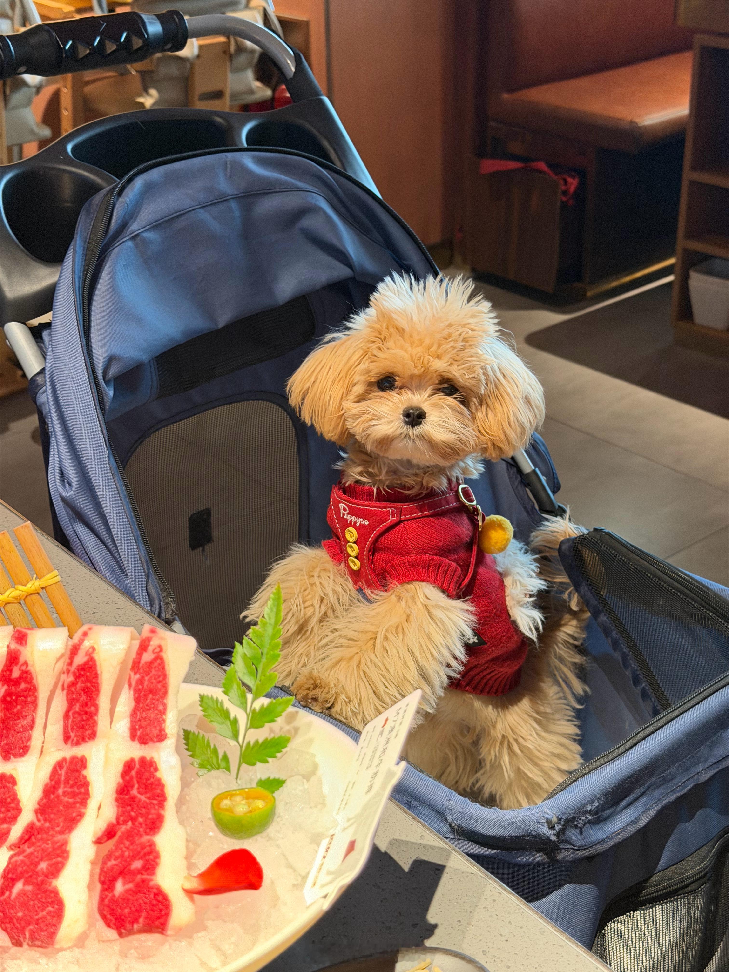 严肃脸三连hhhhhh 