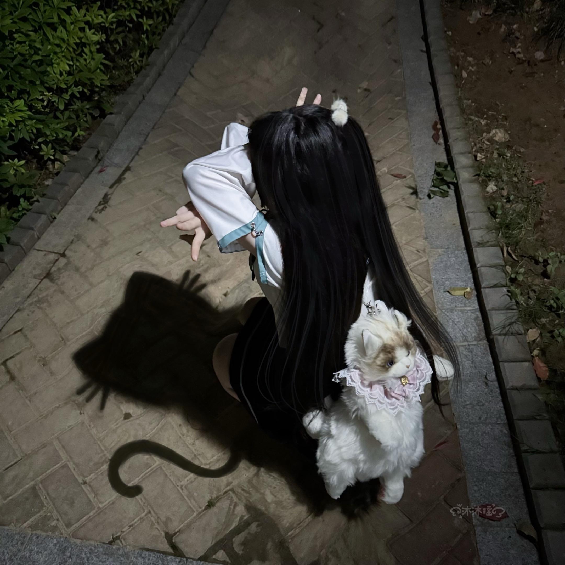 遇见你就像小猫的世界下起了小鱼。