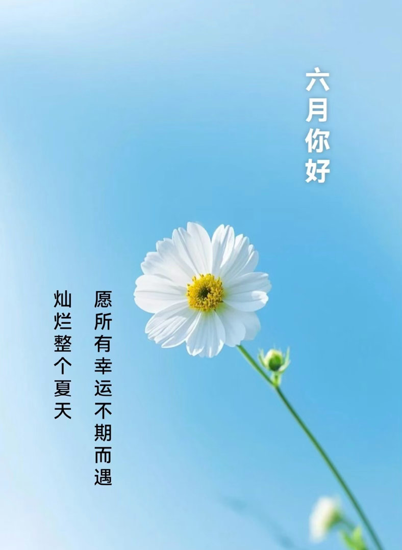 生活已经很辛苦了，今天请把自己当小朋友宠 成年人也是过了期的小朋友，记得给自己发