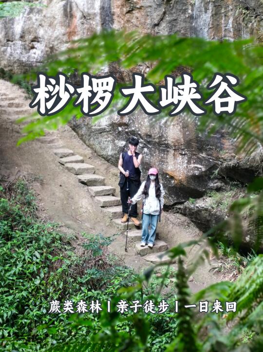 成都2h桫椤峡谷徒步👣  探秘远古秘境❗