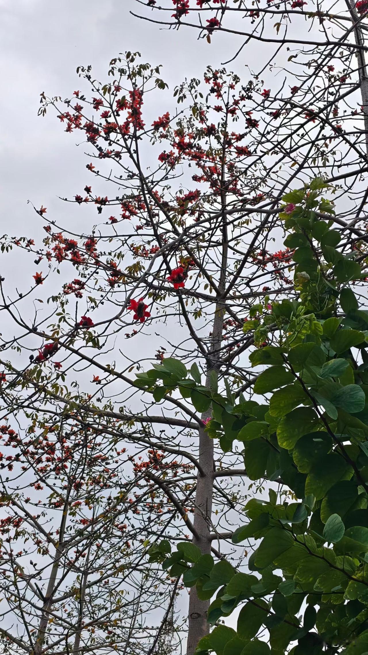 在工厂车间上班的日子，真的太磨人也太熬心了。每天领导不是骂这个骂那个。

每天匆