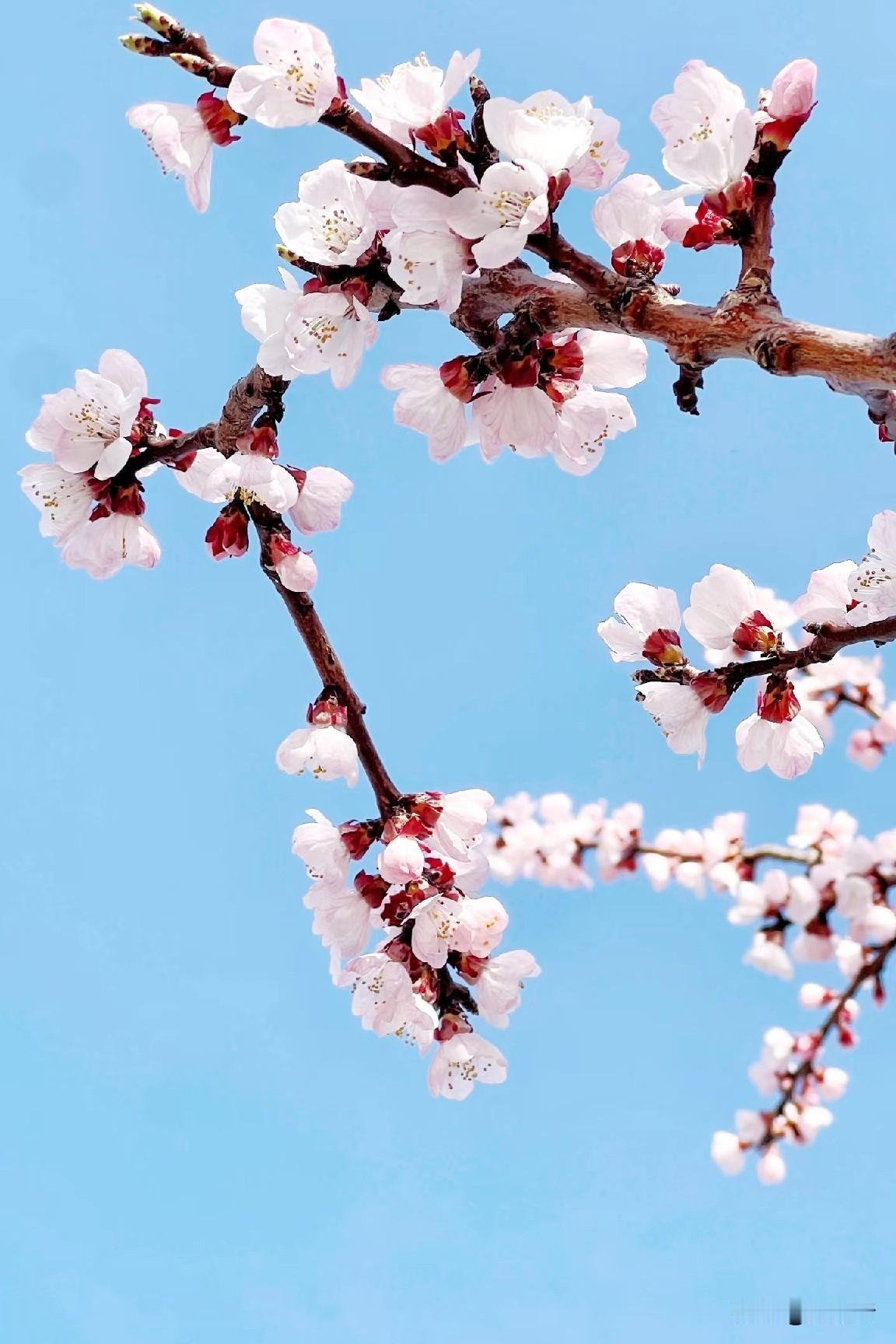 春播千亩稻 秋染万山金
 
春风拂野
播下千亩希望稻秧
细雨润田
孕育满仓丰收期