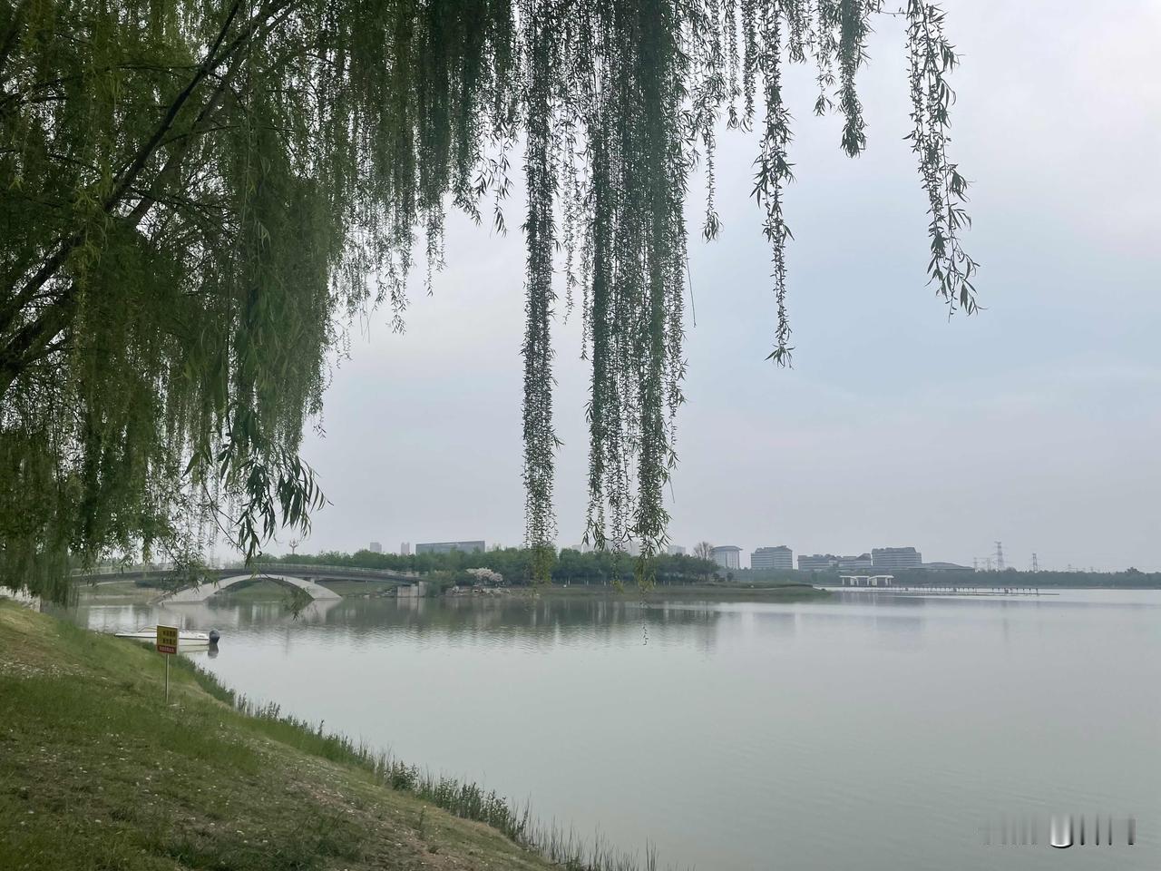 【鹧鸪天•宿雨欢欣桂叶敲】
宿雨欢欣桂叶敲，阶前顿见水花漂。
茫茫夜暗遮幽径，淡