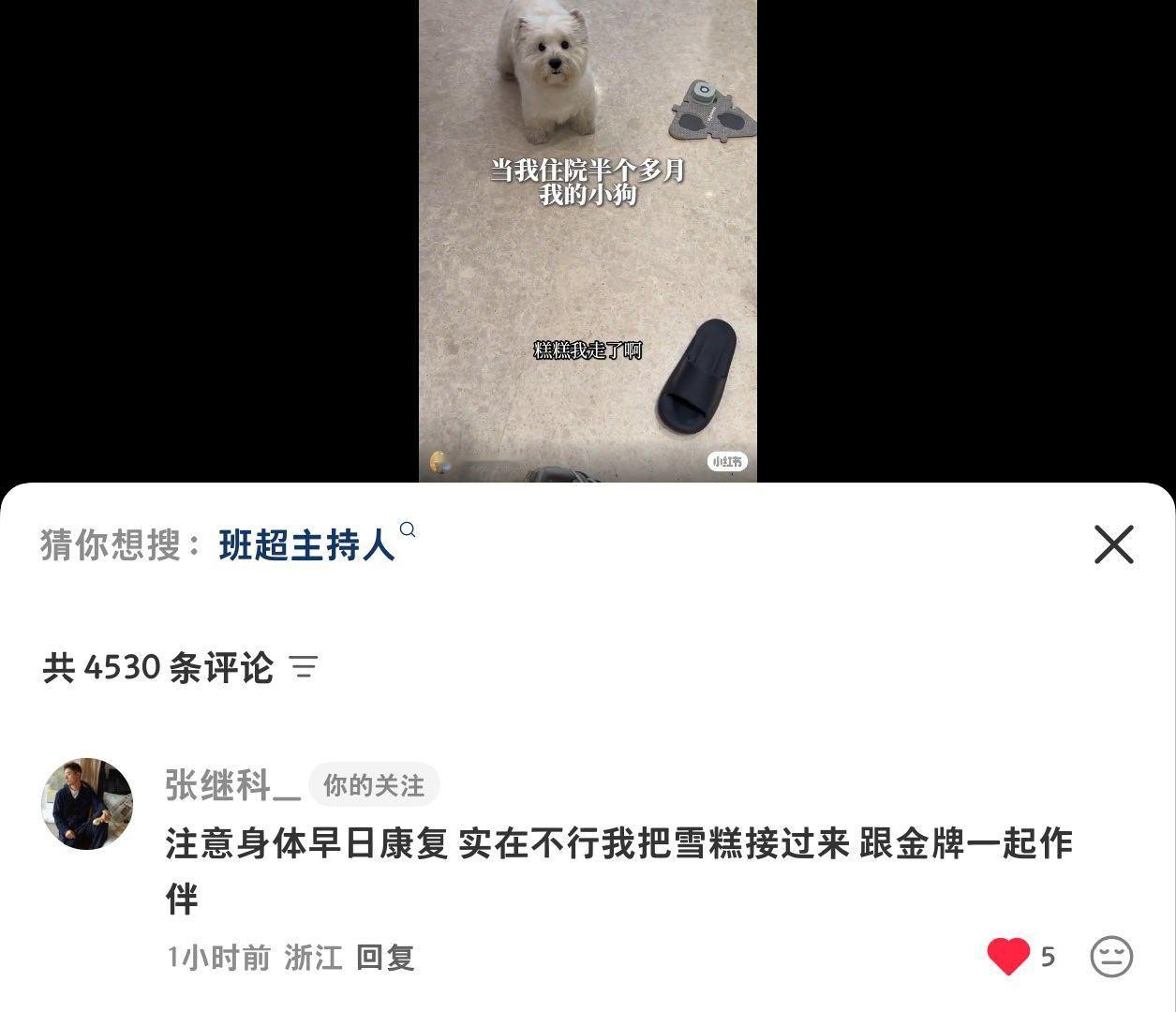 捞捞老哥好吗？太沉了 ​​​