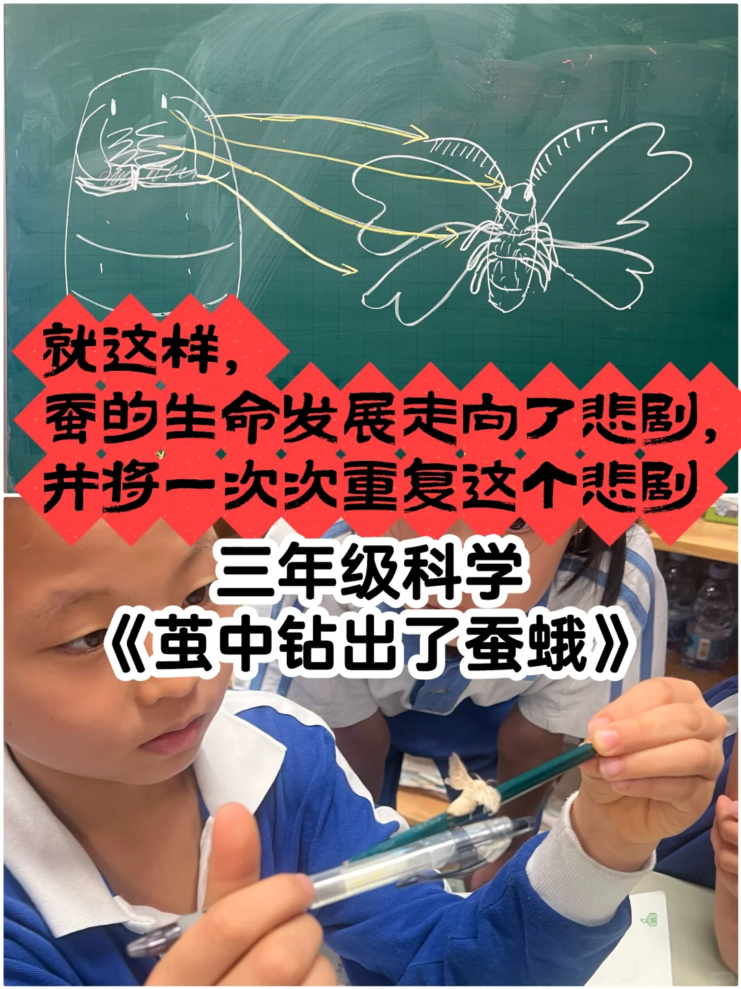 用无法思考生命意义的蚕，进行【人生教育】