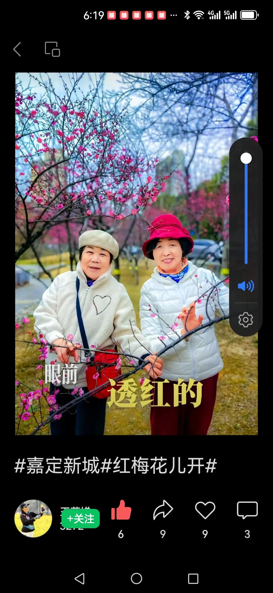 新春花香醉：
——花丛魁 相依相偎相伴随
…
嘉定新城花香醉，
红梅花儿满枝缀；