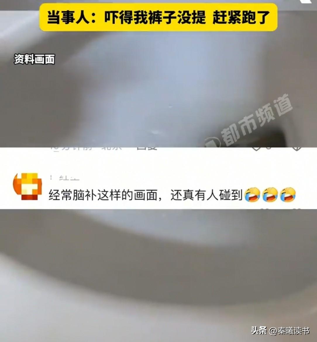 深夜，江苏一女子起来上厕所，刚坐下，屁股冷不丁被顶了下。她起来一看，魂都飞了，裤