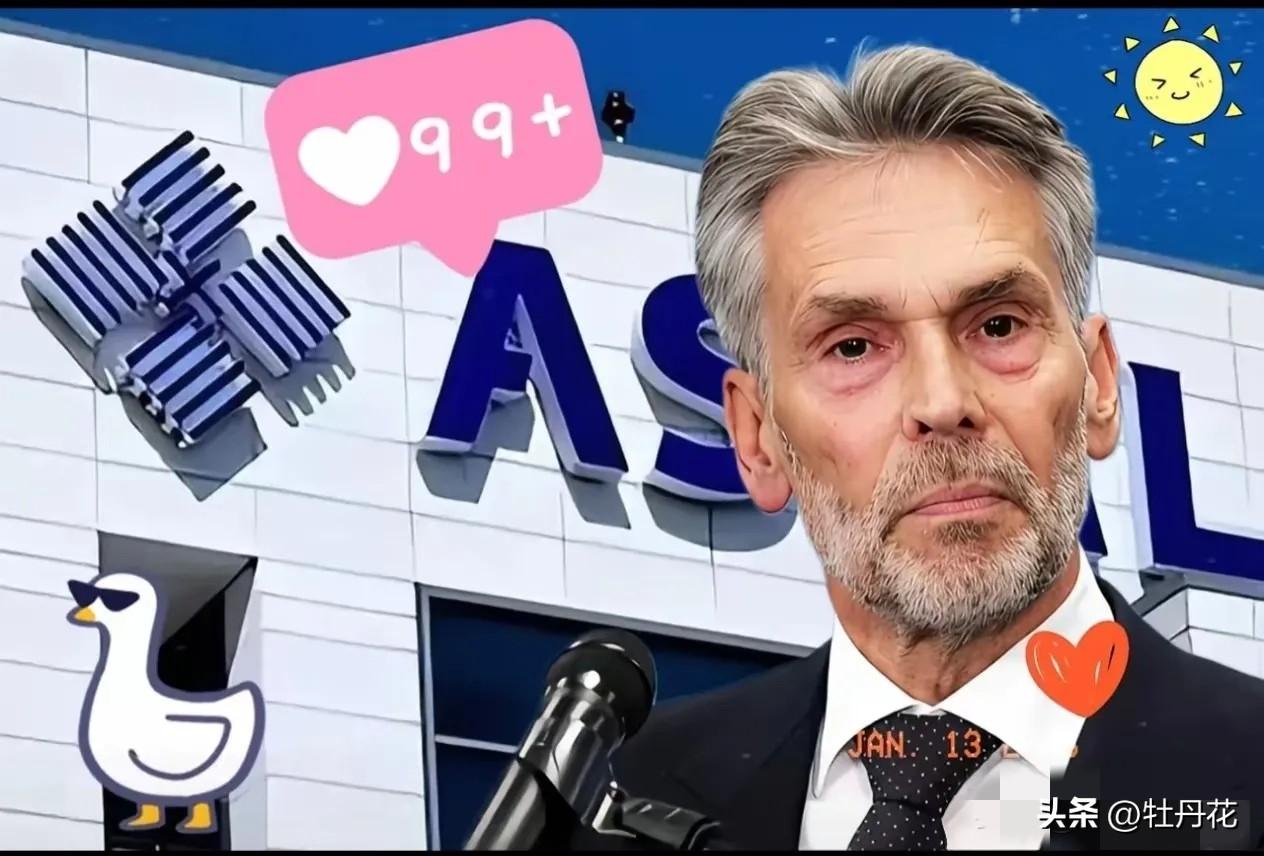 不等了，荷兰找中国
令美国没想到的是，荷兰新政府刚上台便找中国了，其目的也很简单