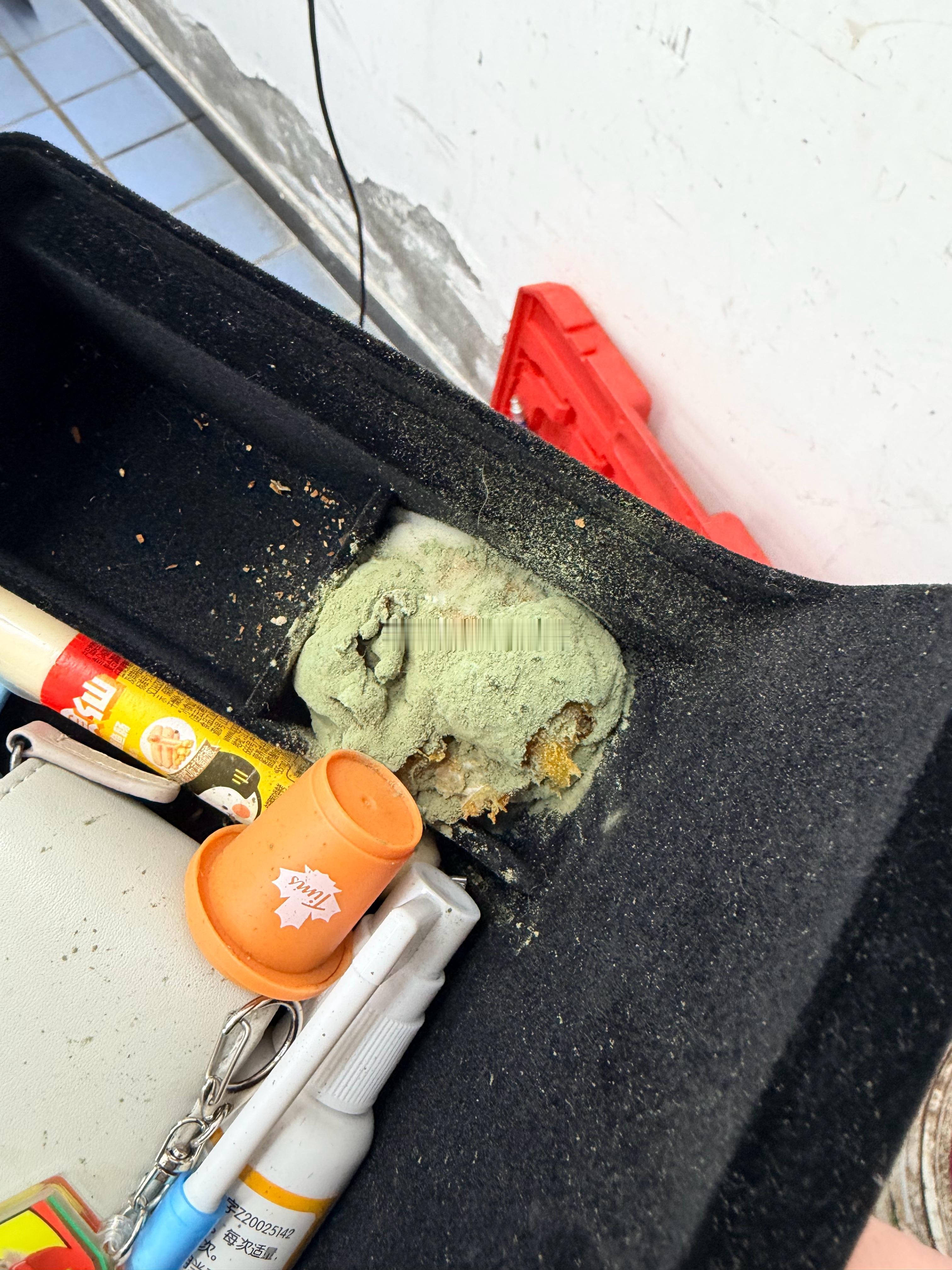 不知道儿子什么时候放了个橘子在储物盒里，刚发现都长毛了刚才倒出来绿毛到处飞。 