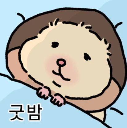 太萌了吧 