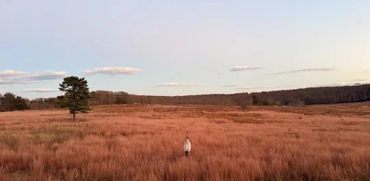 仙纳度赏秋🍂日落时分无徒步速通版10.31
从DC开到仙纳度大概2个小时，导航