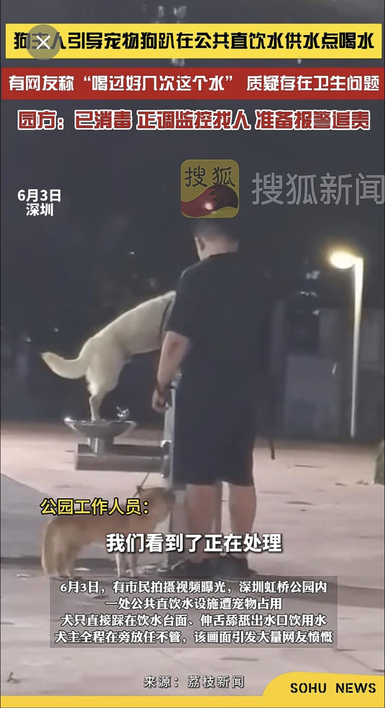 6月3日，广东深圳。狗主人引导宠物狗趴在公共直饮水供水点喝水，有网友称“喝过好几