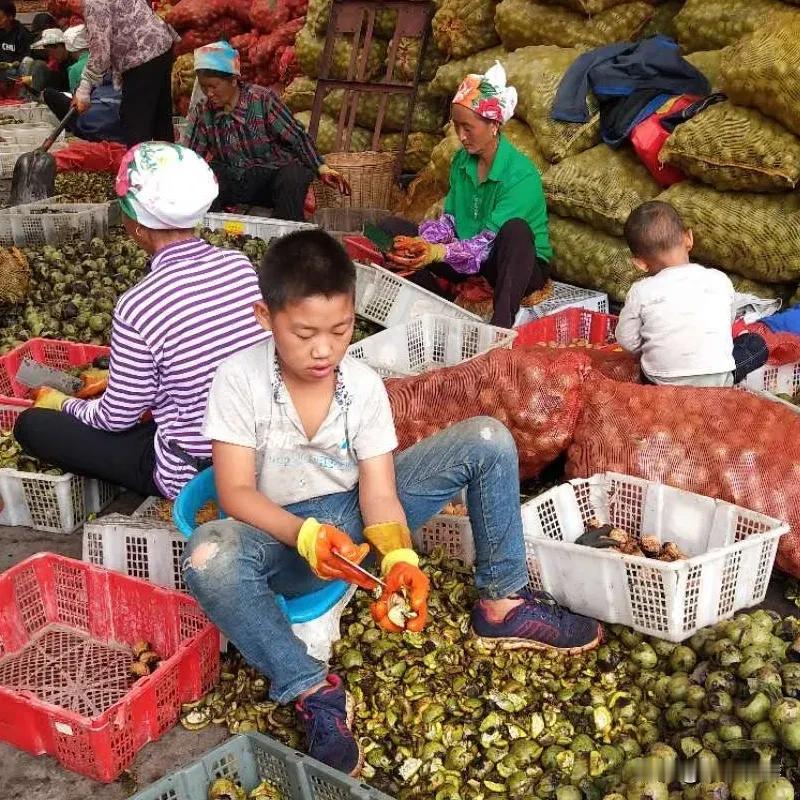 南方人来北方后才知道这个东西可以吃新鲜的！

原谅我的无知，从小到大在沿海长大，