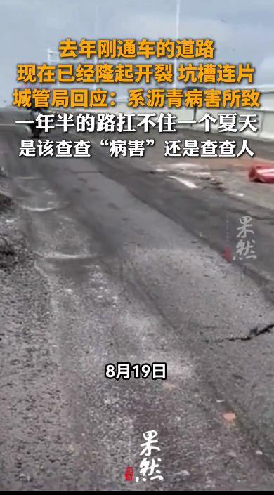 刚通车才一年半，路面就鼓包开裂、坑槽连片？长沙湘府东路辅路这波“沥青病害”，真是