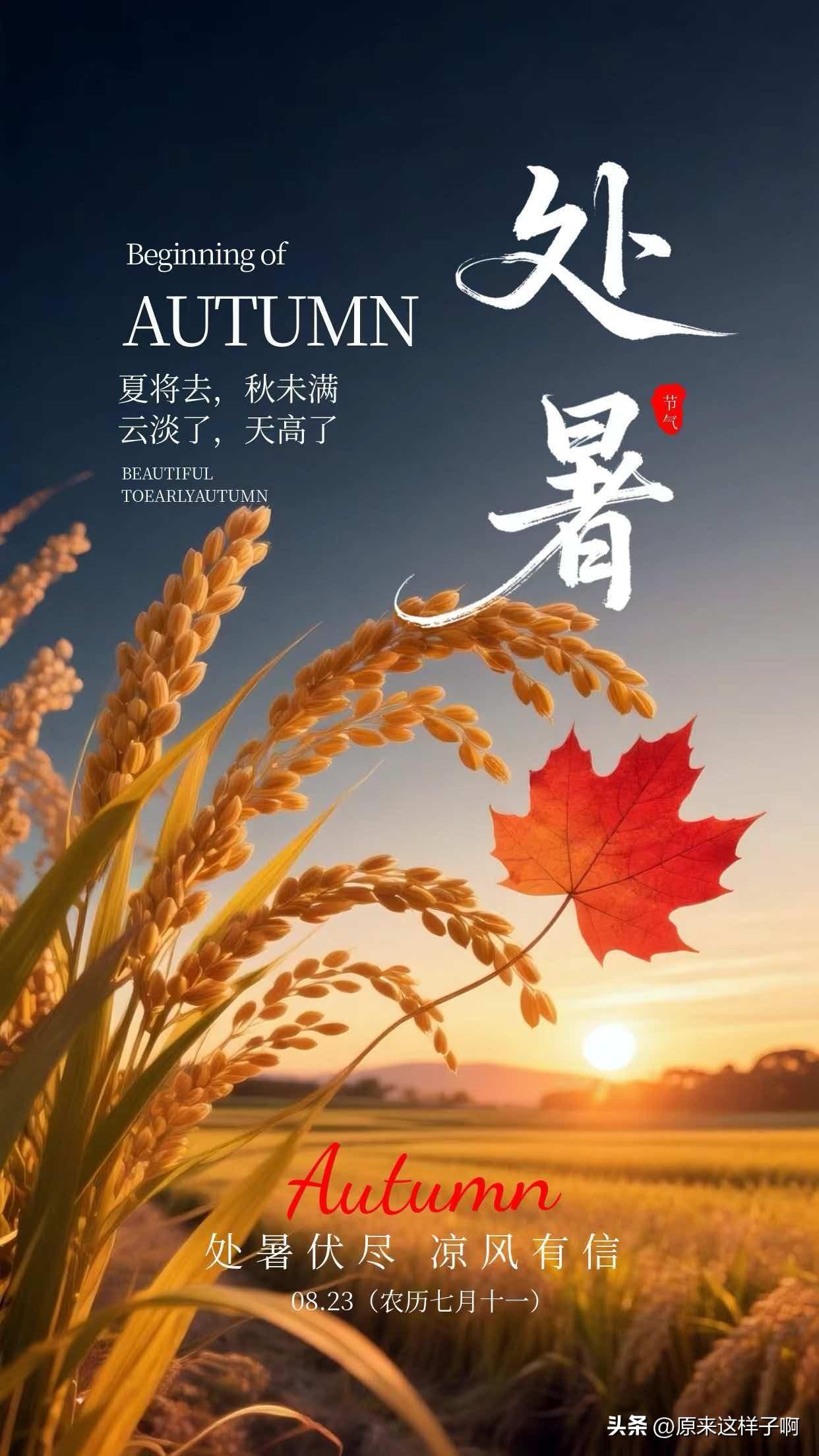 🌾处暑早安
夏伏将尽，秋风徐来。
暑气慢慢退去，日子渐入安然。
愿往后日子，少