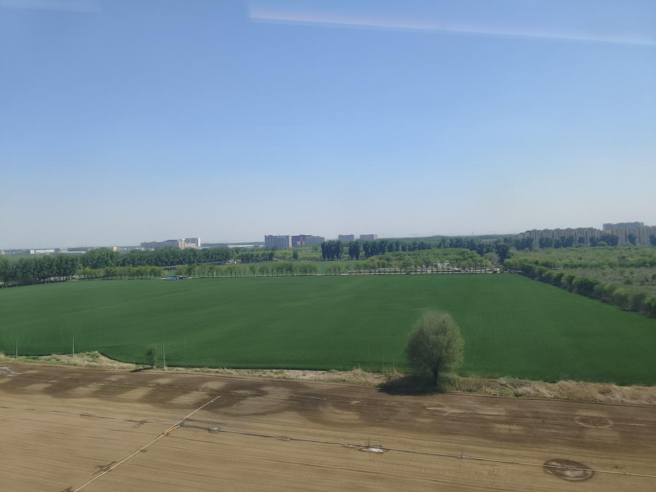 在北京，在这个季节，坐在高铁上放眼望去，绿油油的一片，应该是小麦吧！我猜的对吗？