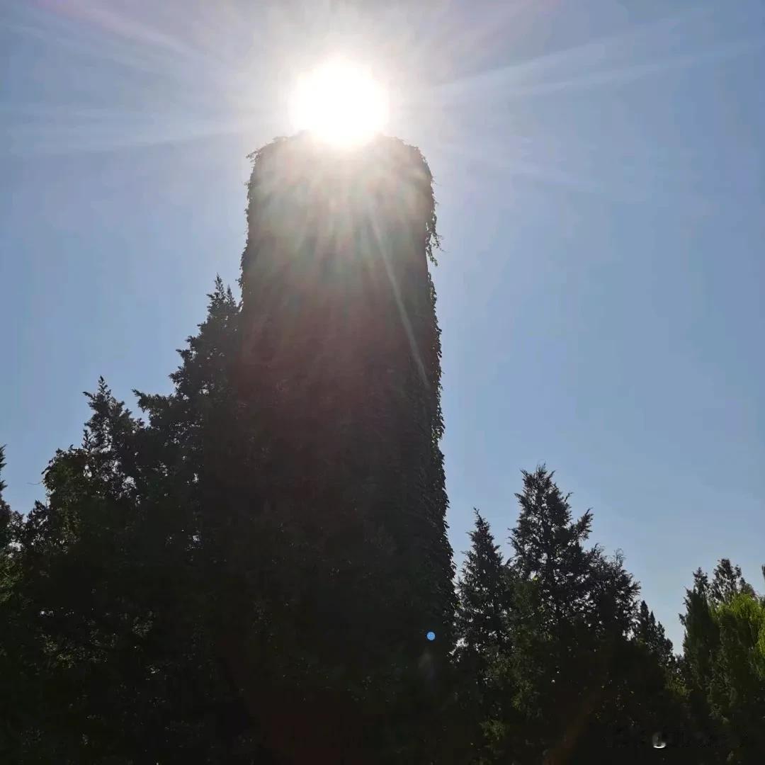 山谷里的风
传递着花朵的芬芳
我伫立遥远的城市
眺望青山绿草的地方

山谷里的风