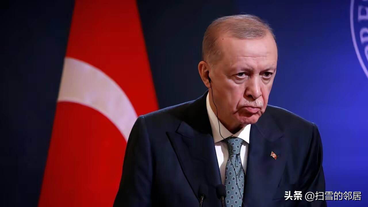 土耳其发现超6亿吨稀土矿，瞬间觉得自己手握“王炸”，扭头就找中国：你出技术，我出