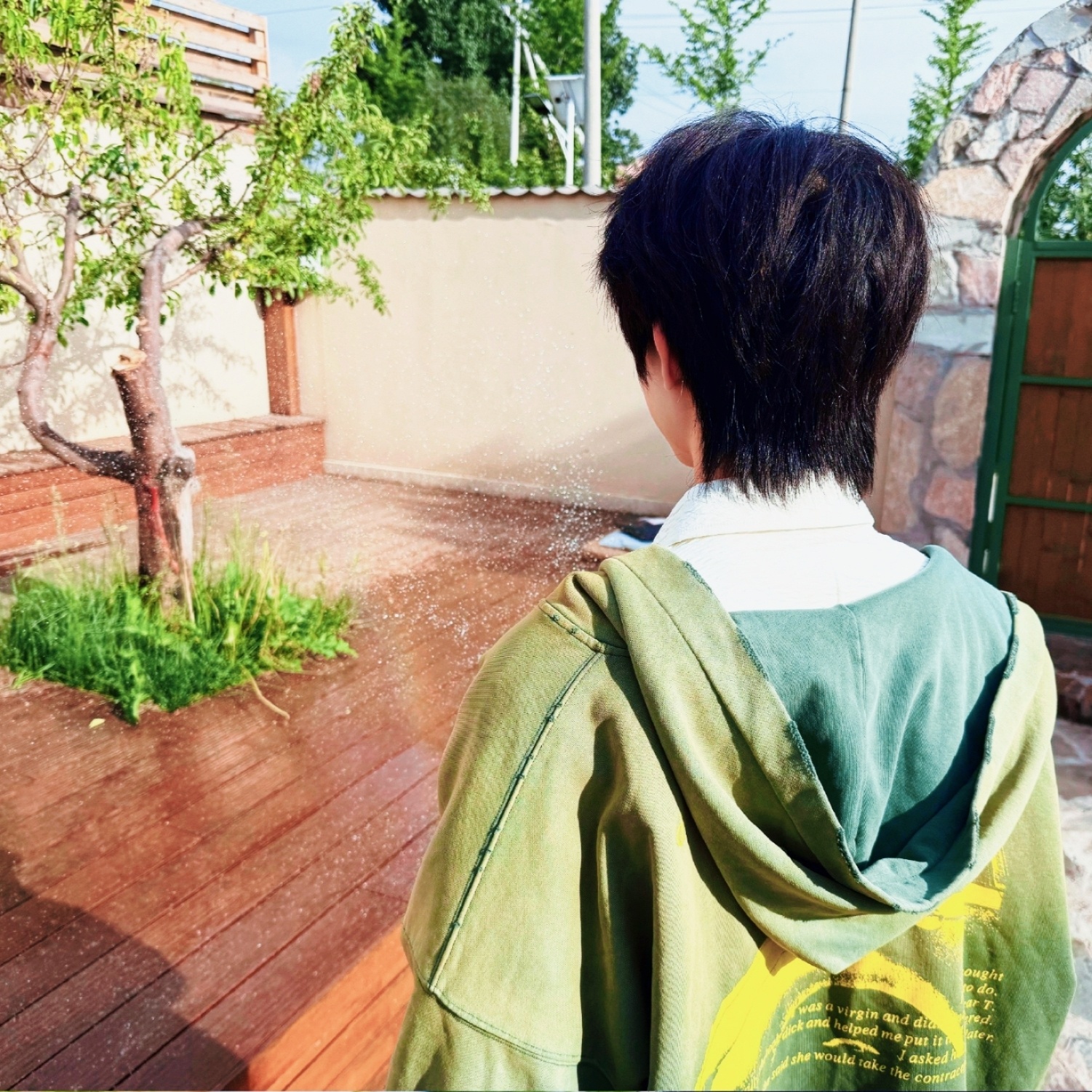 限定的春日温柔...🍃杨博文百无聊赖  专栏 · 修xiu中...(˵¯͒〰¯