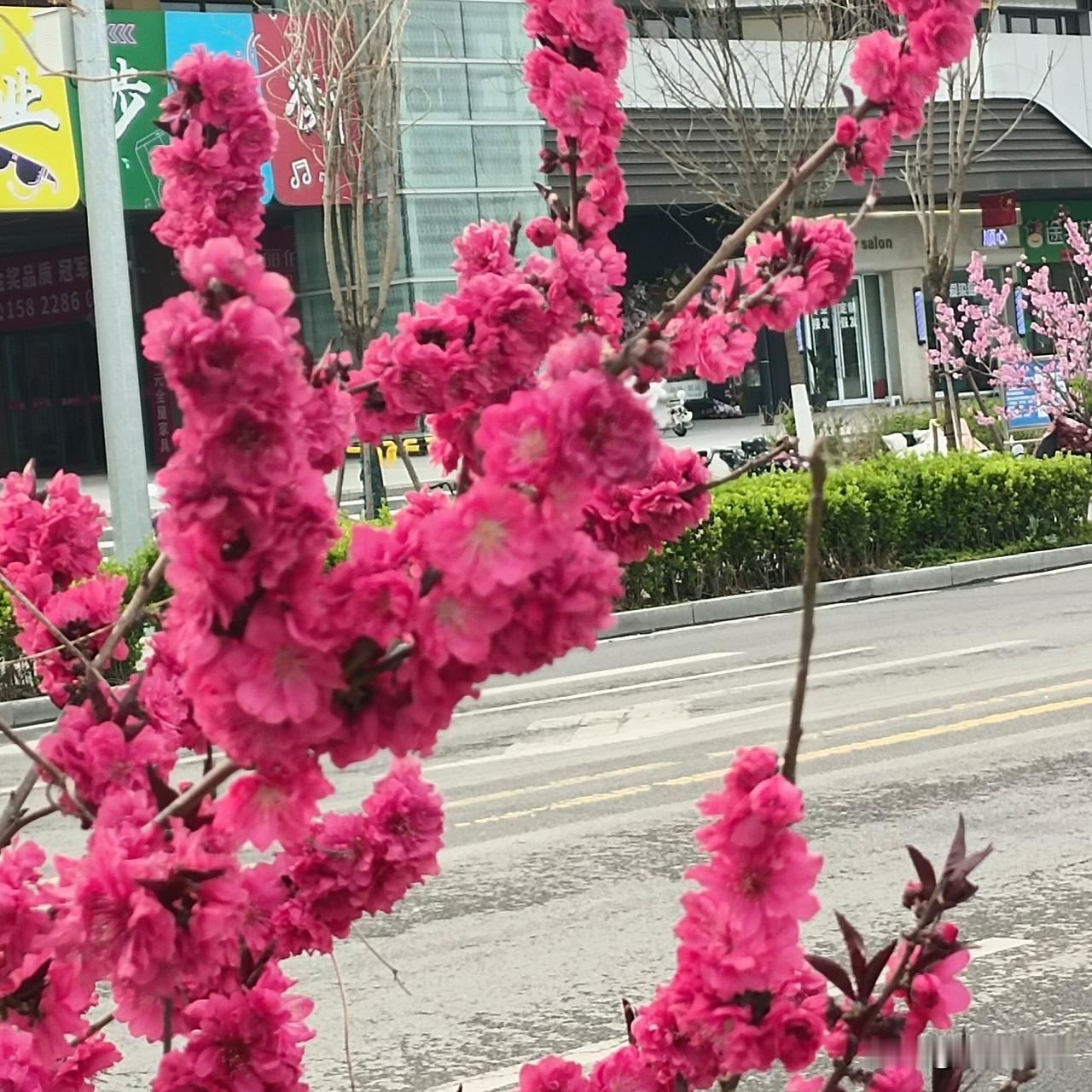 人到了50岁以后还有激情吗?人到了50岁以后还有激情吗?
别被年龄骗了。
50岁