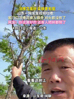 “缺了大德！”4月23日，山东，当地一网友拍视频称，自家门口的洋槐花被人无情薅秃