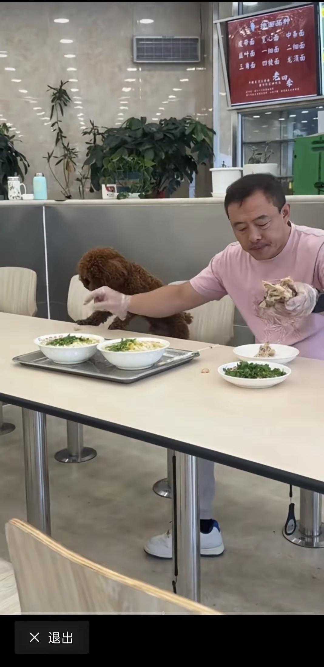 辽宁一男子带狗去餐厅吃饭的视频火了。这家餐厅的生意悬了!餐厅是公共场所，带宠物一