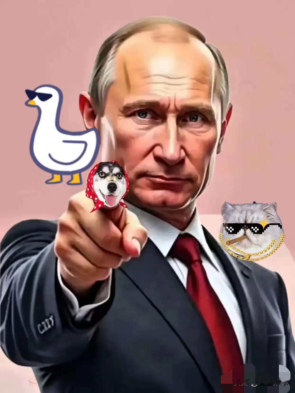 果然被猜中了！
俄罗斯官方今天宣布了！
10月31日俄罗斯总统普京宣布！
俄罗斯