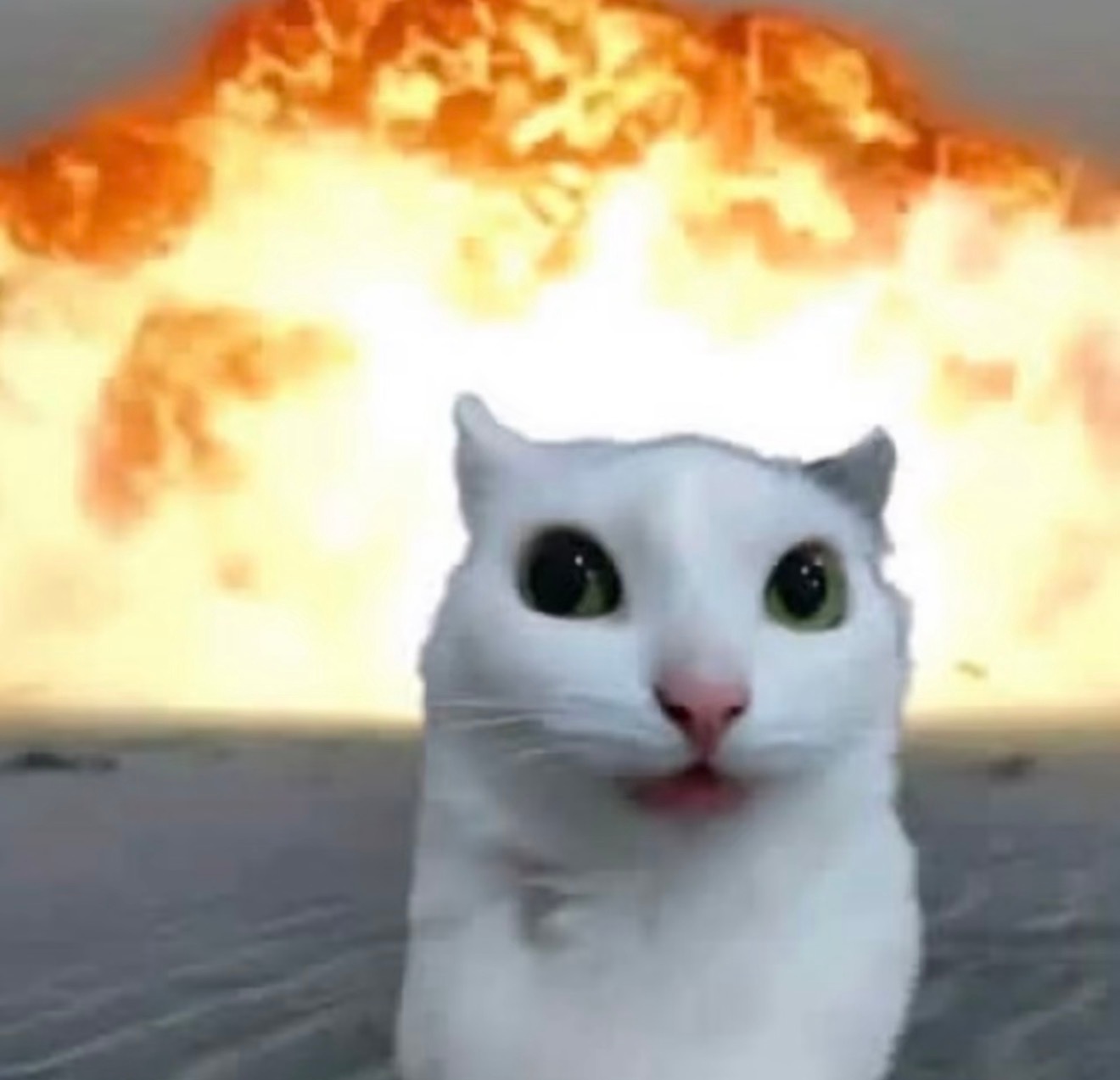 大学生偷外卖被拘通报公示外卖架边终于有人管了，主要不是心疼那几十块钱，而是被恶心