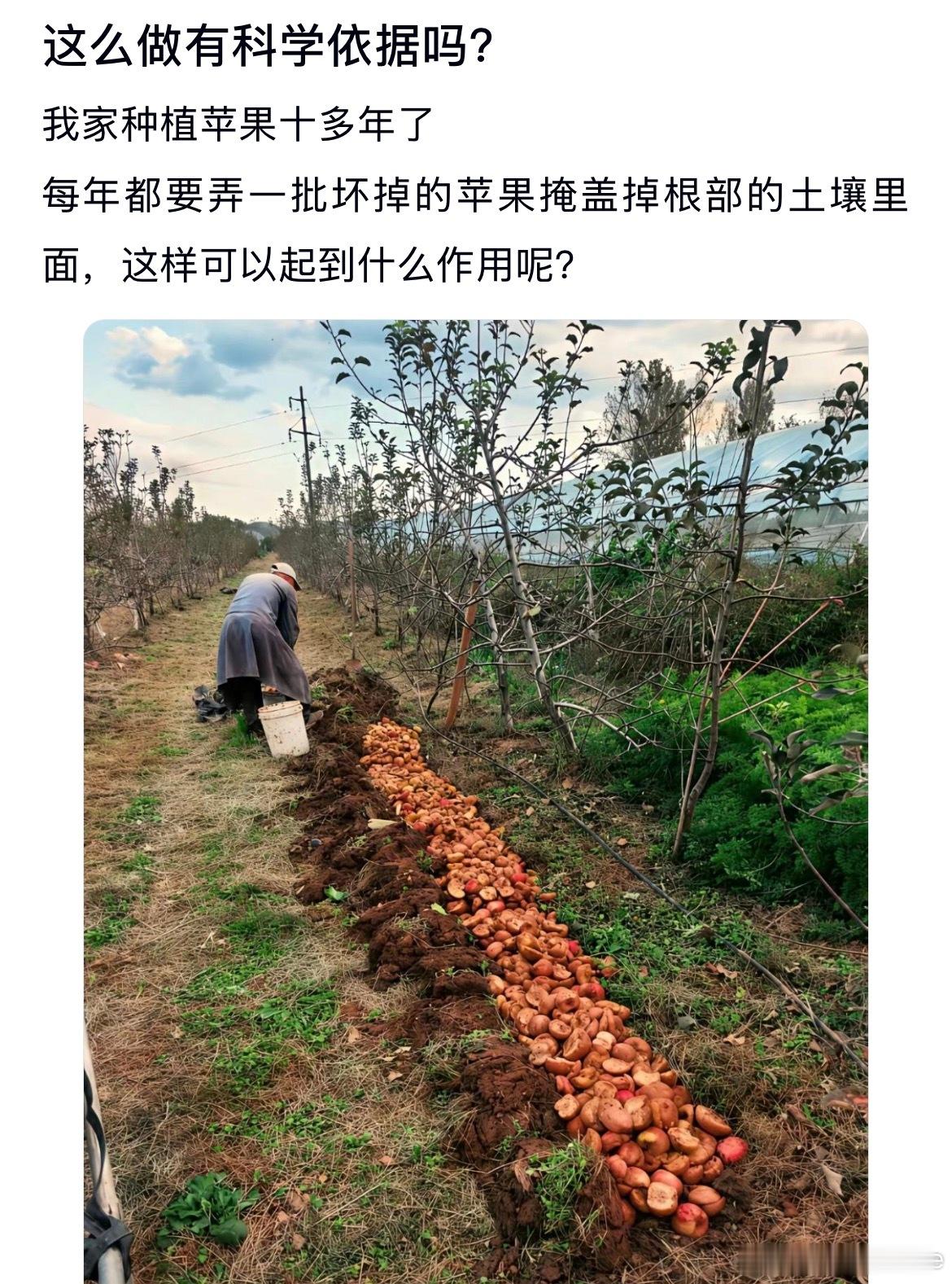 这么做有科学依据吗？ ​​​