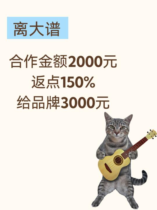 品牌合作一分没赚还要倒腾1000元，合适吗？