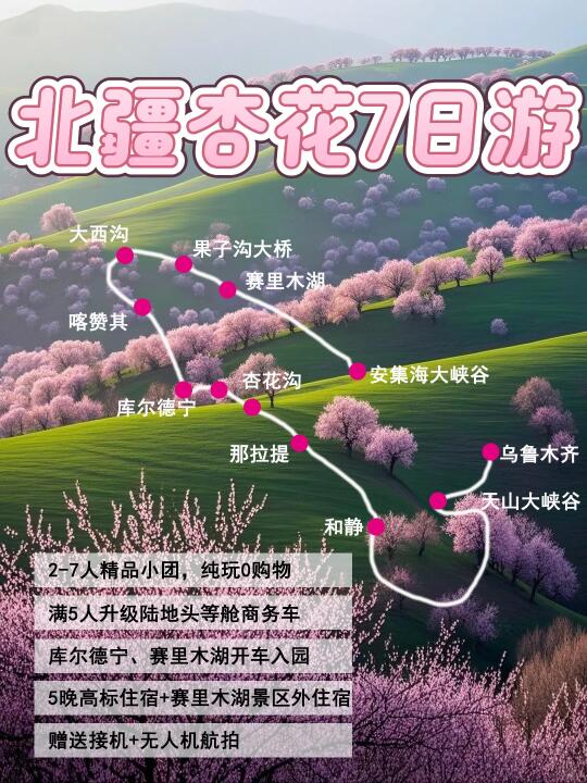 春游北疆伊犁杏花+赛湖7日❗️7人纯玩小团