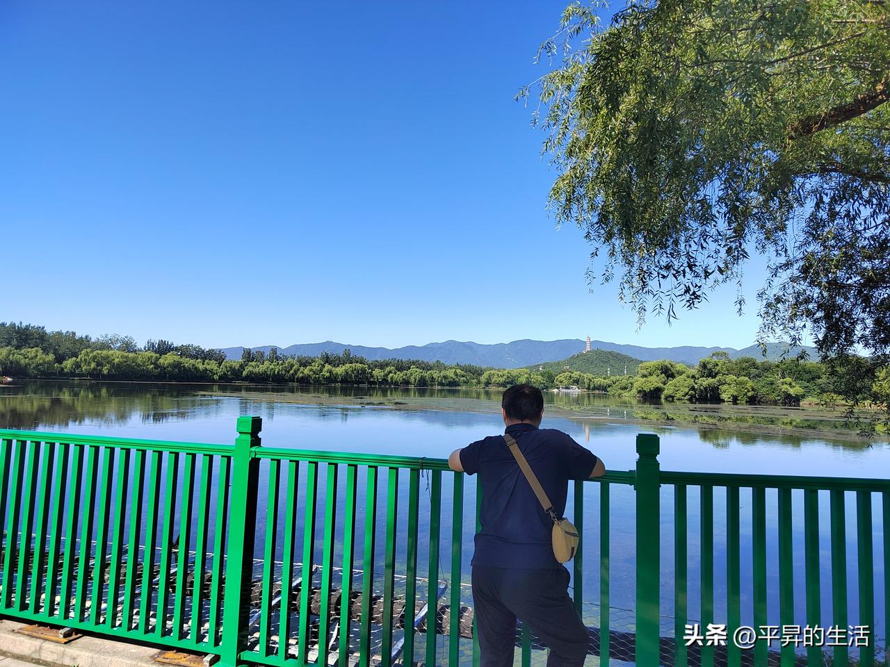 记录我的2025进颐和园西门后左手是团城湖，右手是藻鉴堂湖。团城湖是饮用水源保护