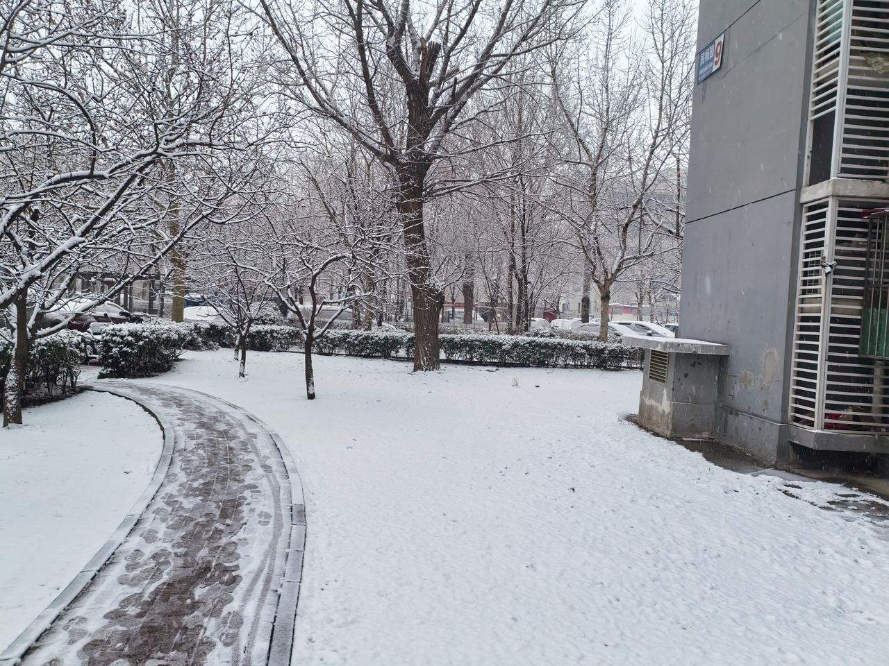 清晨推窗，忽见碎玉簌簌而下，原是春雪叩门。细雪如柳絮轻扬，覆在柳梢头、瓦檐角，将