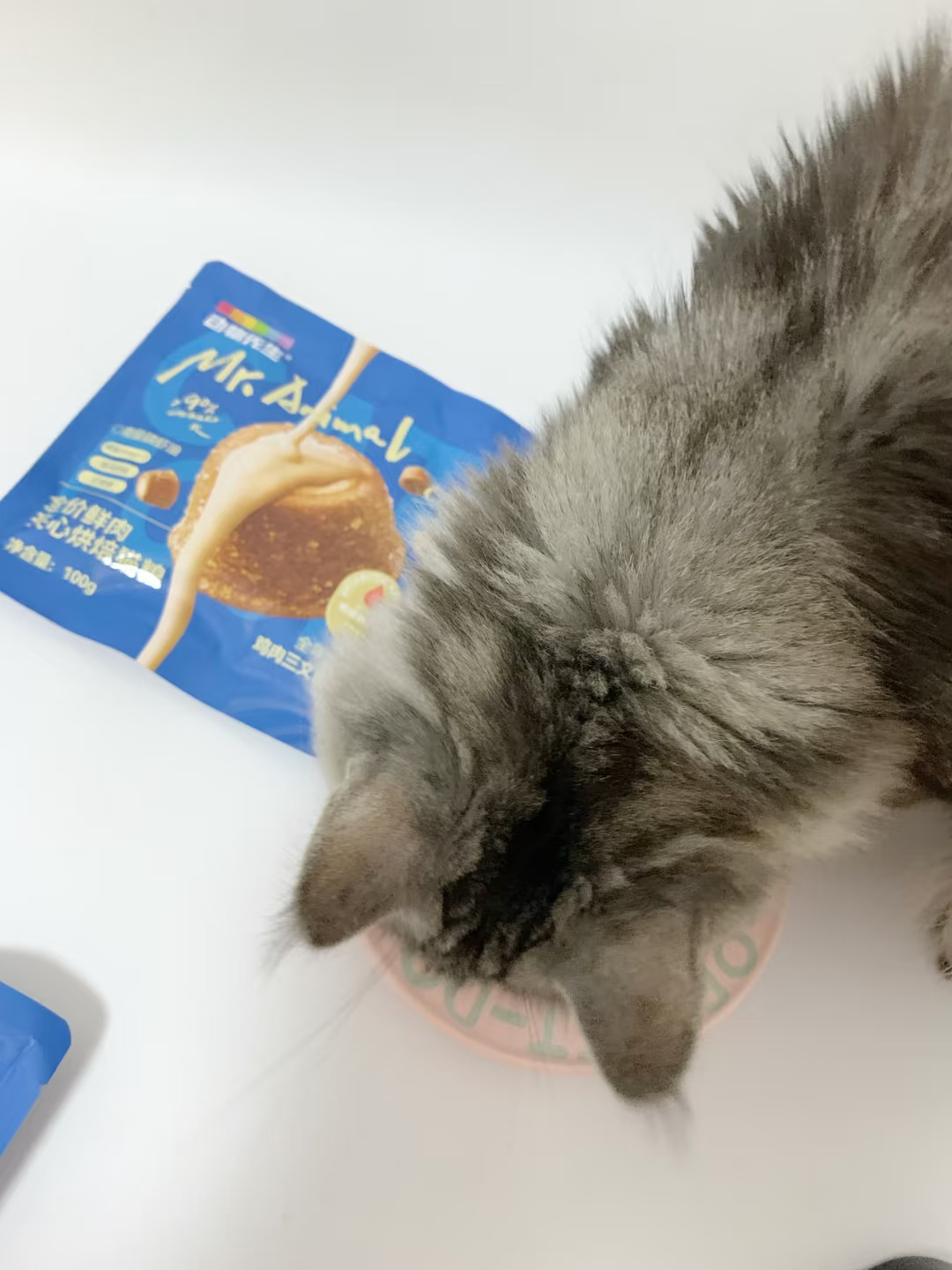 挑嘴小猫最终被夹心猫粮拿下