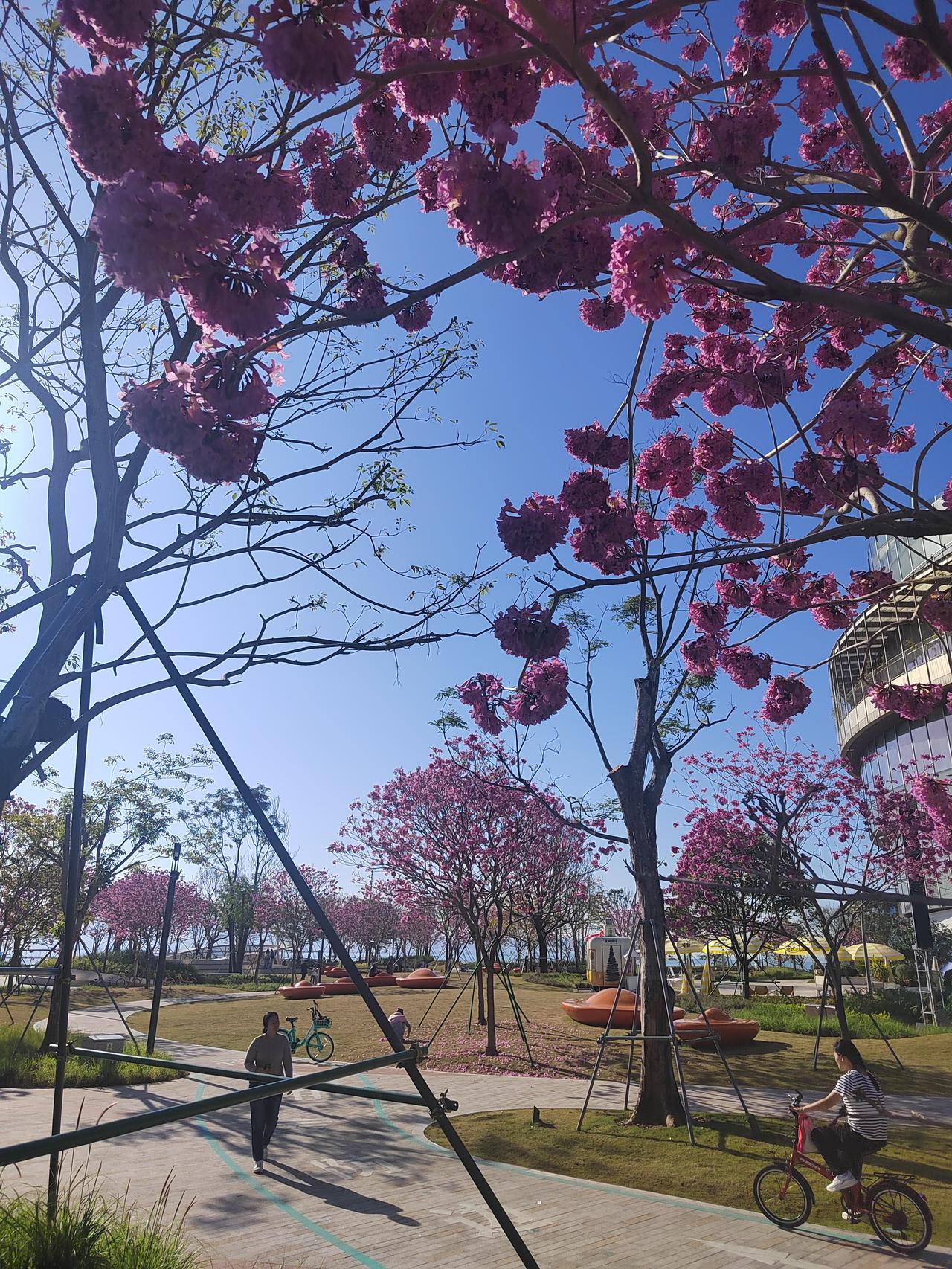 记录我的2026今天外面的风特别大，出去玩，跑外卖真的太难了，如果在这种天气里面