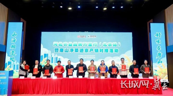 燕赵沃野喜三增 粮安菜丰惠民生——河北2025年粮食生产交出亮眼答卷​