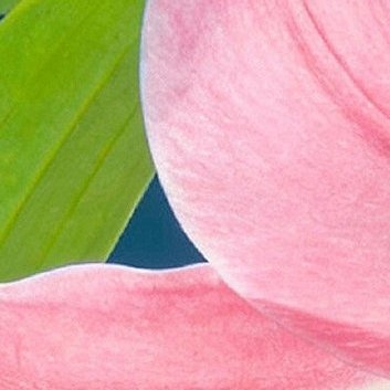 每日一善[超话][哈哈]‎每日一善 [哈哈]‎阳光‎信用 谁的人生不是荆棘前行，