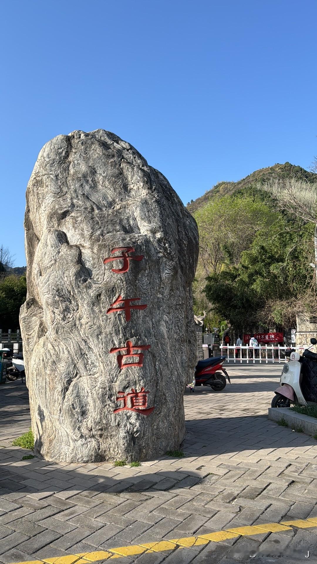 走秦岭子午古道，看漫山白鹃梅，从山脚到山顶白茫茫一片