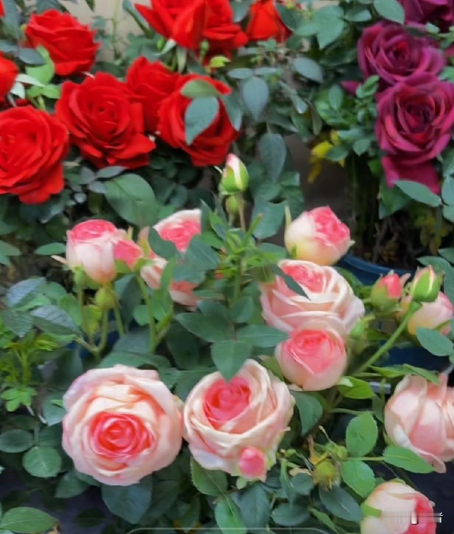 上联“人不可貌相”想对出合适下联，可有不少门道。
传统经典对句“海水不可斗量”就