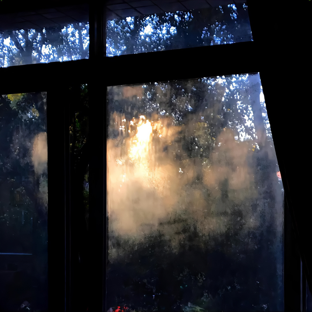 🫐𝓕𝓸𝓻𝓮𝓿𝓮𝓻​​​