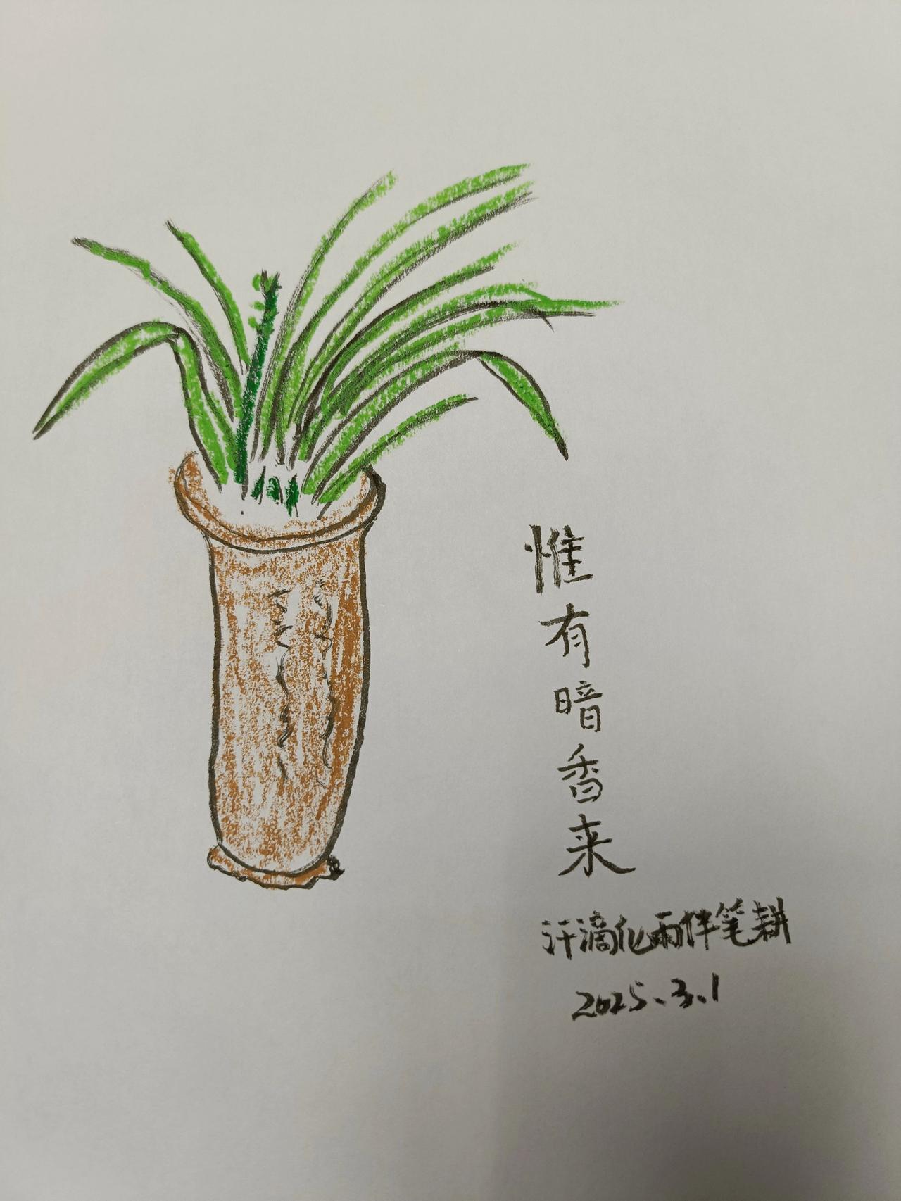 花开少蜂蝶
惟有暗香来