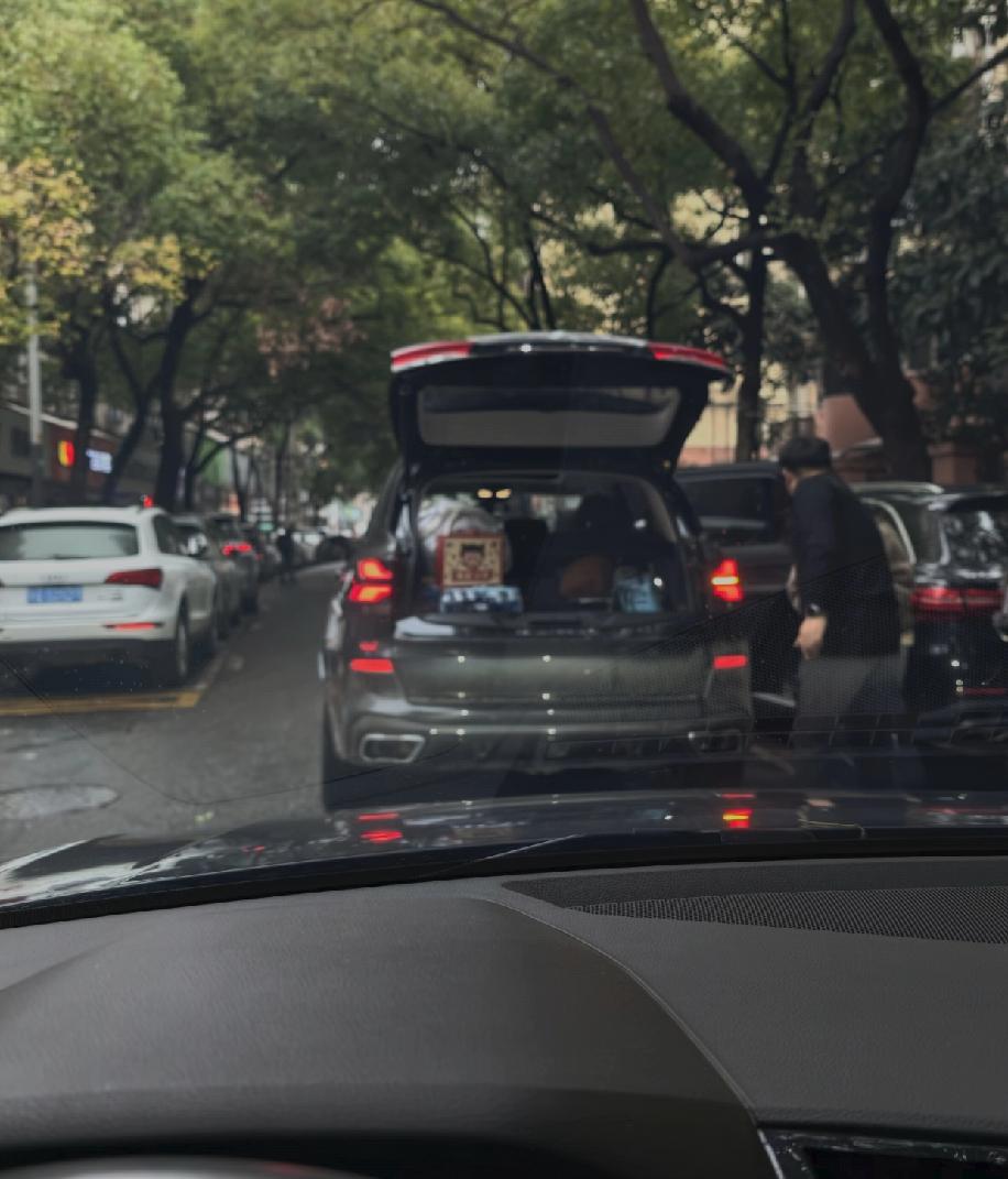 在单行道上，有个司机把车停在路中间，慢悠悠地整理行李。一开始他已经把行李放到副驾