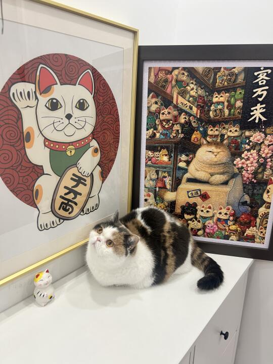 宝宝我呀，才是真的招财猫