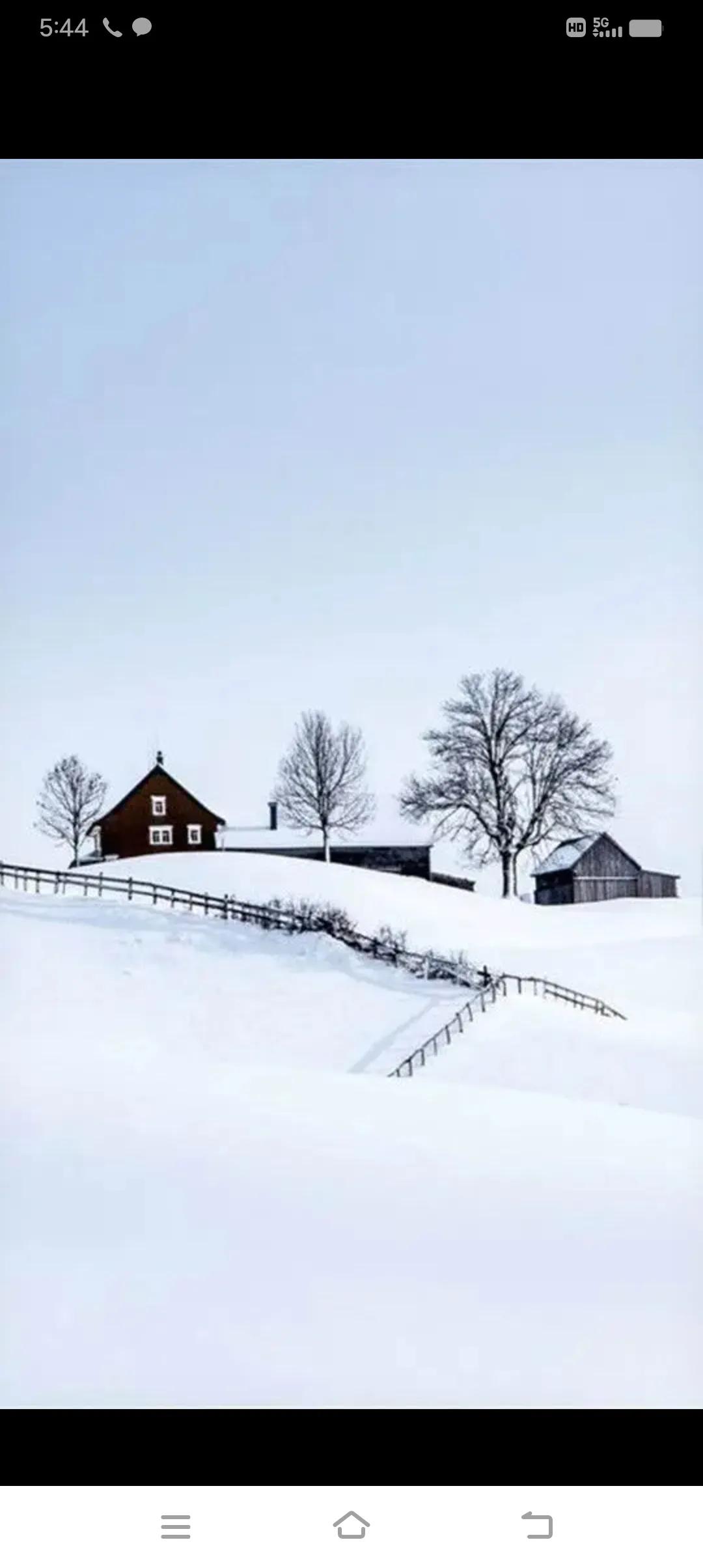 不了一场不大的雪，天也真的冷了些。去看天气预报，往后的几天最低温还都在零上，看来