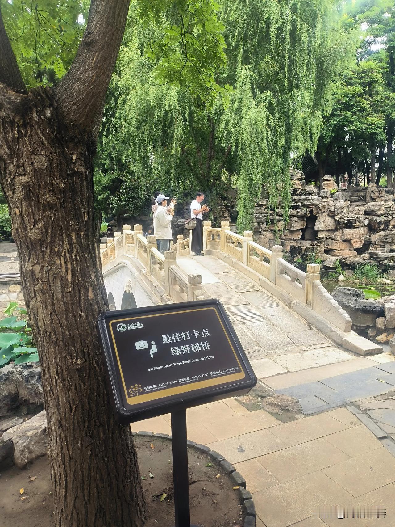 古莲花池·绿野梯桥下的王莲
 
保定古莲花池，元代遗存绿野梯桥之下，水塘里栽种着
