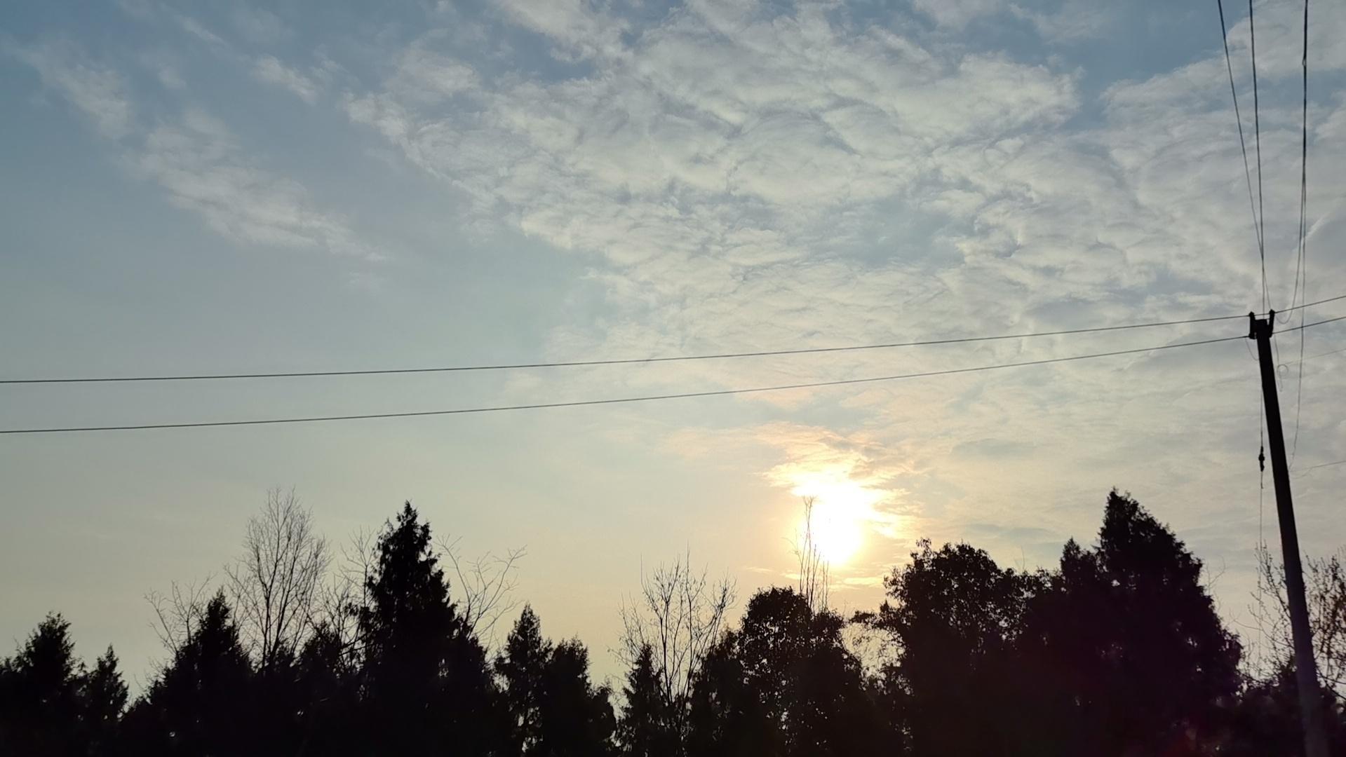 雨的信使昨夜雨声敲窗，我放下书，关了灯，静静听。那声音忽远忽近，像有人在屋顶踱步