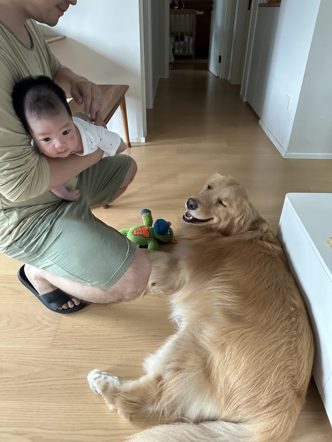 你好呀 小豌豆 我是土豆
